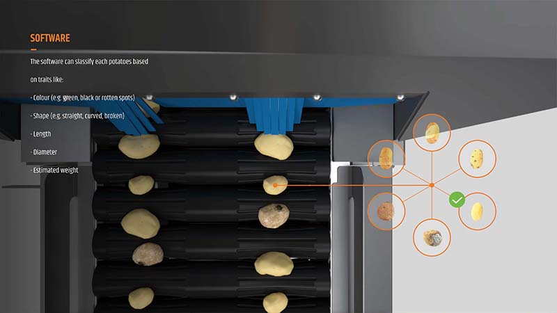 Verwerkingsmachine aardappelen Marcelissen